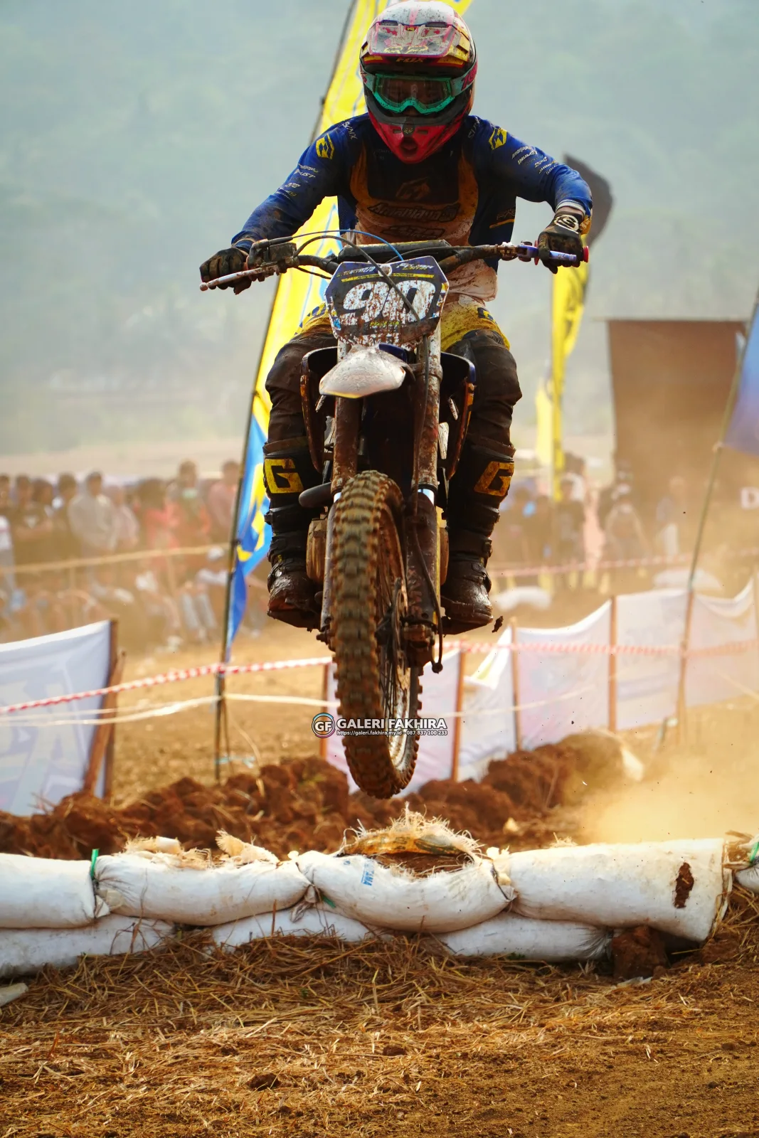 CRF06831