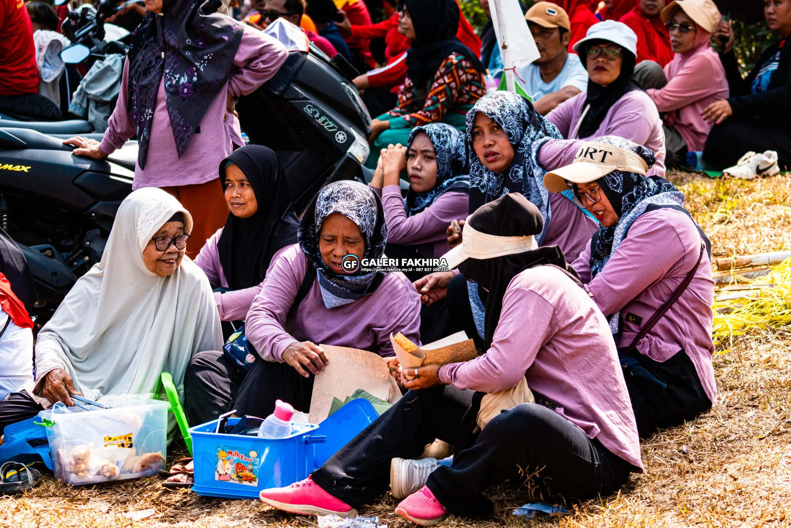 CRF07520